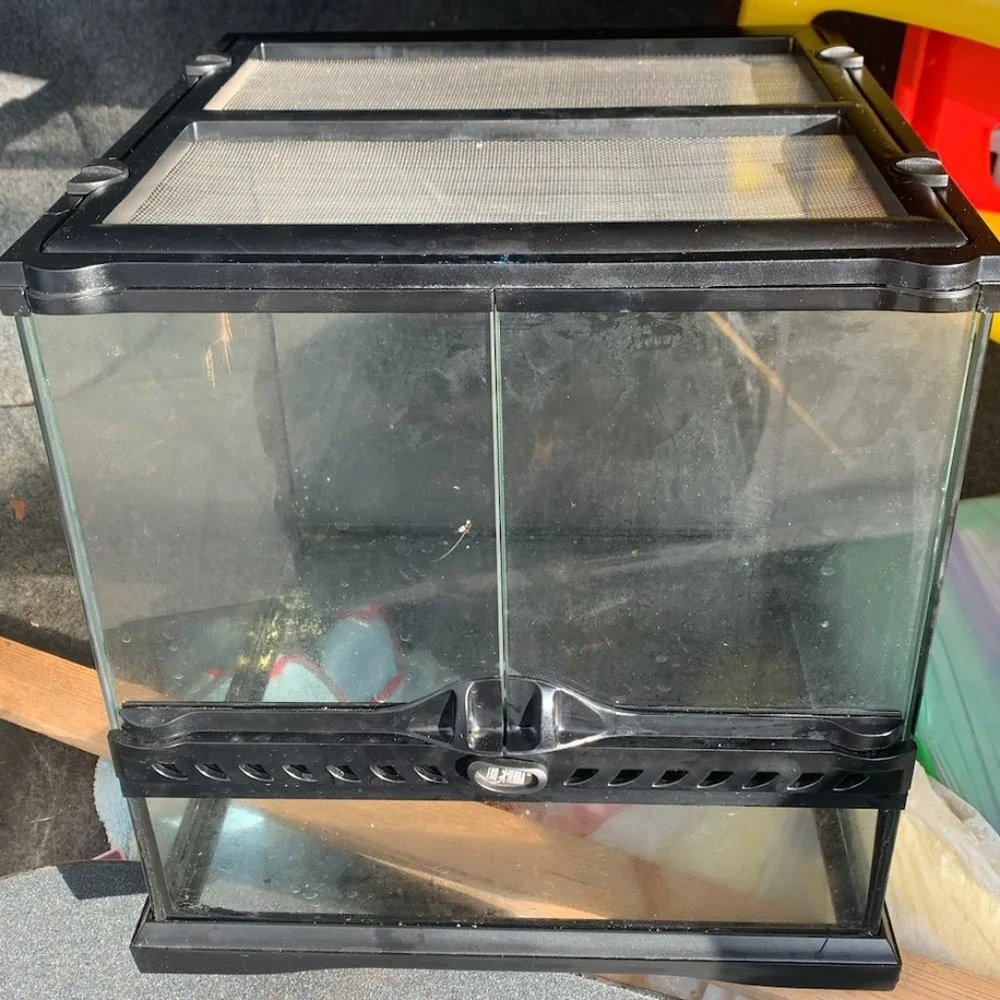 Small Terrarium